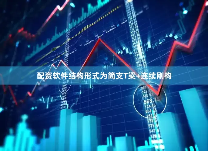 配资软件结构形式为简支T梁+连续刚构