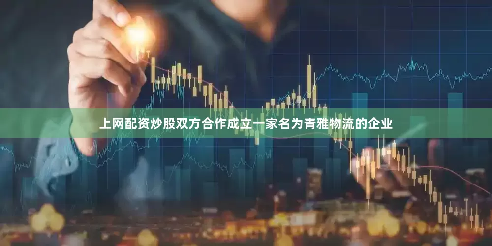 上网配资炒股双方合作成立一家名为青雅物流的企业