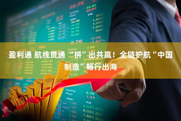 盈利通 航线贯通 “拼”出共赢！全链护航“中国制造”畅行出海